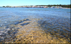 Capacitações do Sebrae preparam comerciantes para a temporada de praias no interior do Tocantins.